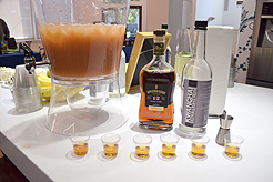 CATALYST TRAVEL WITH SANDALS